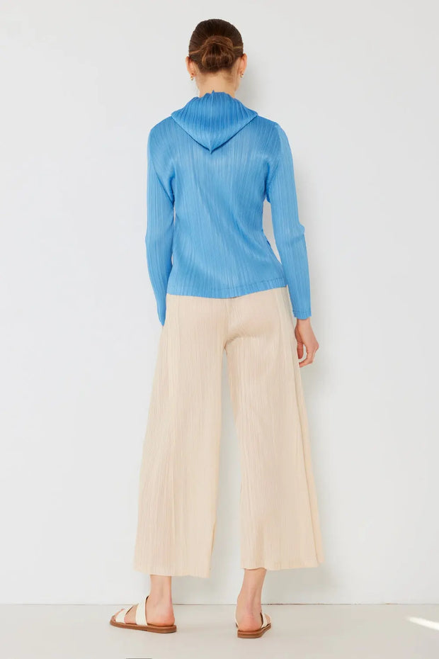 Marina West Swim Pleated Wide-Leg Pants with Side Pleat Detail Trendsi