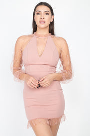 Pearl Trim Mesh Bodycon Dress - Fashionmj